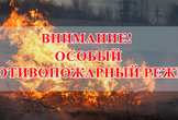 Установлен особый противопожарный режим
