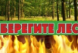 Памятка о мерах пожарной безопасности в лесах