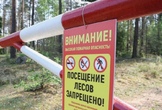Ограничения посещения лесного массива