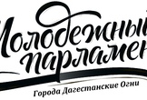 Объявлен набор в молодежный парламент