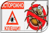 Памятка: ОСТОРОЖНО, КЛЕЩИ!