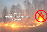 В Дагестане правительством установлен противопожарный режим